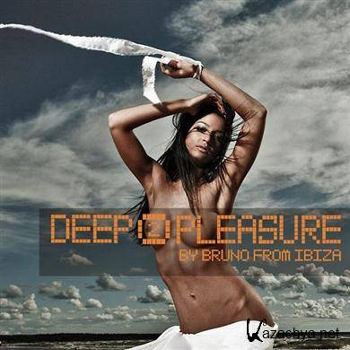 VA - Deep Pleasure Vol 2 (2011).MP3