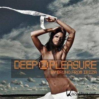 Deep Pleasure Vol 2 (2011)