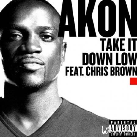 Akon Feat. Chris Brown - Take It Down Low (Promo CDS) (2011)