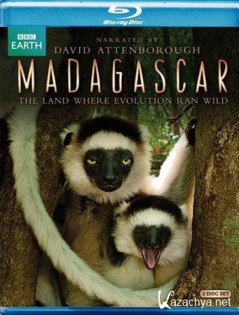  / Madagascar (2011) BDRip