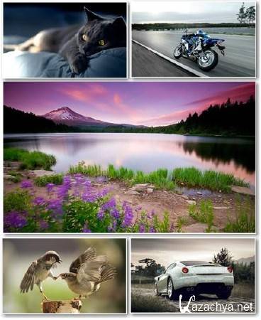 Best HD Wallpapers Pack 230
