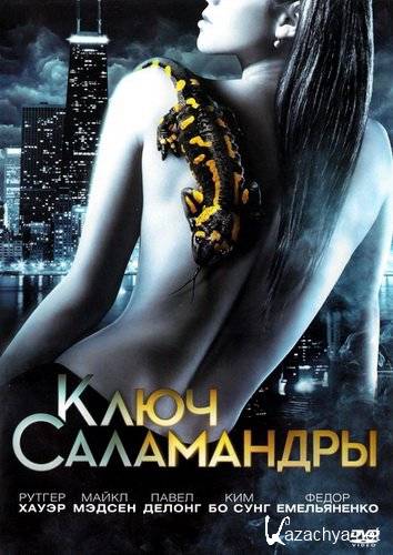   (2011/DVDRip-AVC)