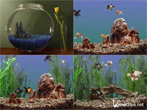 Goldfish Aquarium 3D Screensaver 1.04