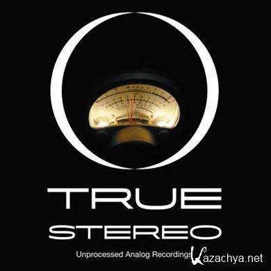 VA - The True Stereo (2004) APE