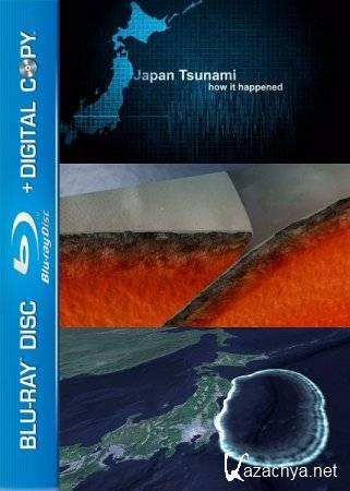  :    / Japan's Tsunami: How It Happened (2011) HDTVRip