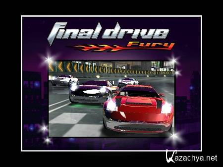 Final Drive Fury (2011/ENG)