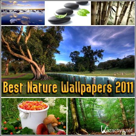 Best Nature Wallpapers 2011