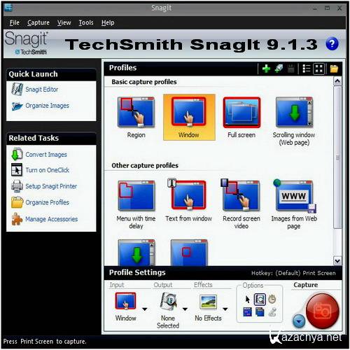 TechSmith SnagIt 9.1.3 Build 19+ Rus