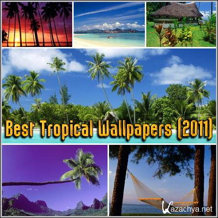 Best Tropical Wallpapers (2011)