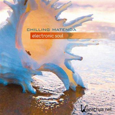 Chilling Matenda - Electronic Soul (2011) FLAC