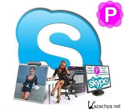 Pamela for Skype Professional Edition v4.7.0.71