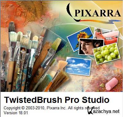 TwistedBrush Pro Studio 18.01