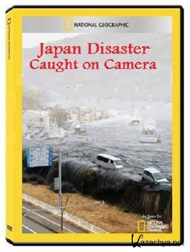  :   / Japan Disaster: Caught On Camera (2011) SatRip