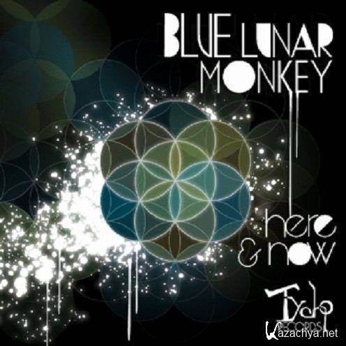 Blue Lunar Monkey - Here & Now 2011 (FLAC)