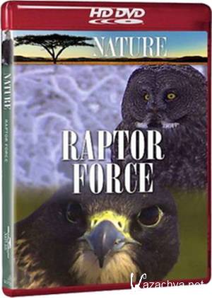   / Raptor Force (2006) SATRip(HDRip)