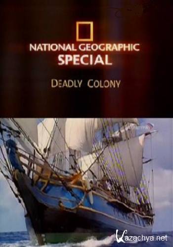   / Deadly colony (2005) SATRip(HDRip)