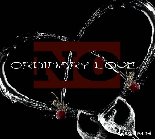 No Ordinary Love (2011)