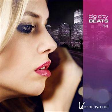 VA - Big City Beats 14 (2011).MP3