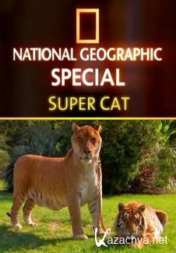  / Super Cat (2006) SATRip(HDRip)