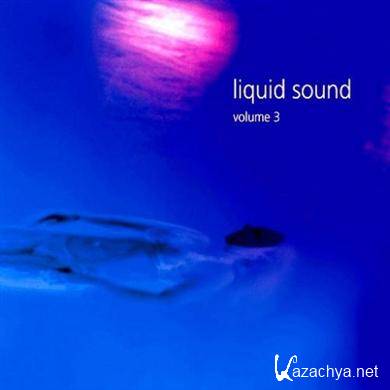 VA - Liquid Sound Volume 3 2010 (FLAC)