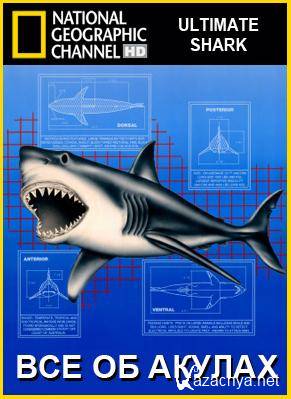    / Ultimate Shark (2006) SATRip(HDRip)