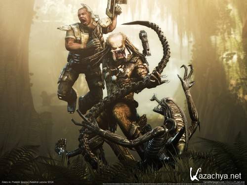 ������ ����: ����, �������, �������, ������, ��������, ������