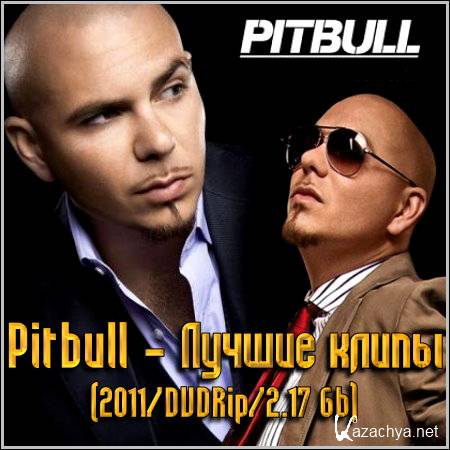 Pitbull -   (2011/DVDRip/2.17 Gb)