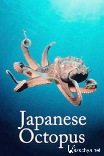    / Japanese Octopus (2010) SatRip