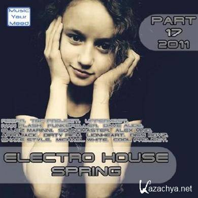 VA - Electro House Spring Part 17 (2011)