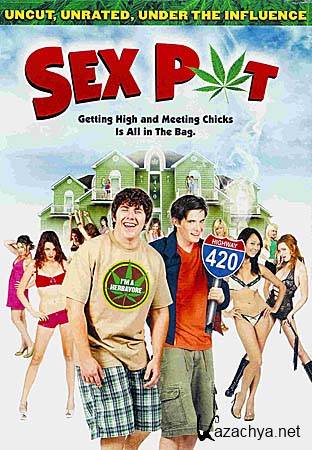   / Sex Pot (HD 720p) 