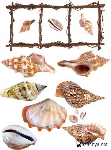 �������, ������ (���������� ���)