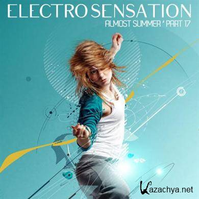 VA - RM Electro Sensation Vol.17 (2011)