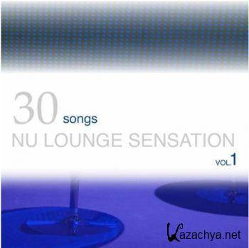 VA - 30 Songs Nu Lounge Sensation Vol. 1 (2011).MP3