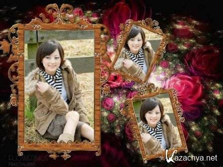 Picget PhotoShine v 4.0