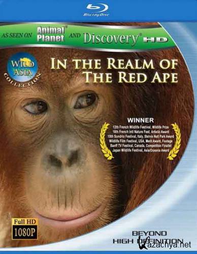  :     / Wild Asia: In the Realm of the Red Ape (2001) BDRip 1080+720p