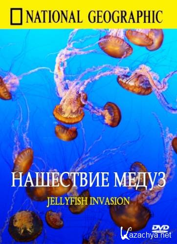   / Jeelyfish Invasion (2007) SATRip(HDRip)