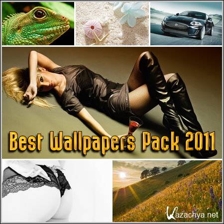 Best Wallpapers Pack 2011