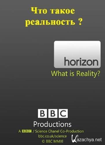   ? / What Is Reality? 2011 HDTV