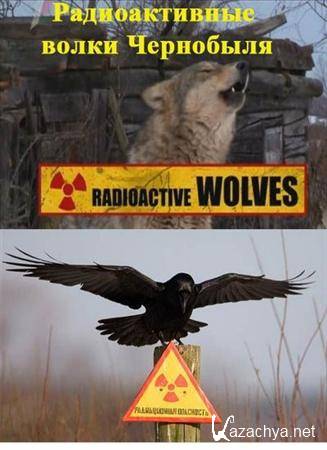    / Chernobyls Radioactive Wolve (2011) TVRip