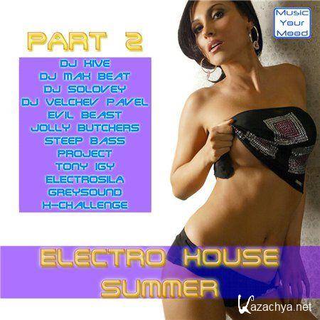 Electro House Summer 2011 (Part 2)