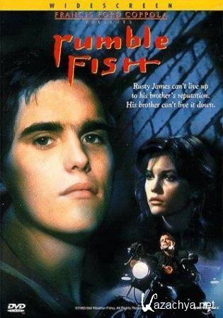   / Rumble fish (1983) DVD5