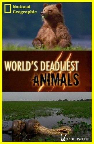   :   / World's deadliest: Ultimate Predators (2010) HDTVRip