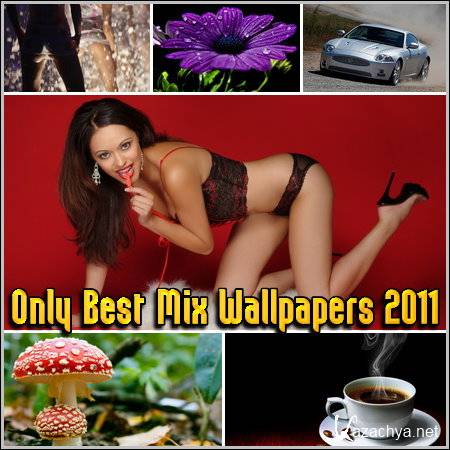 Only Best Mix Wallpapers 2011