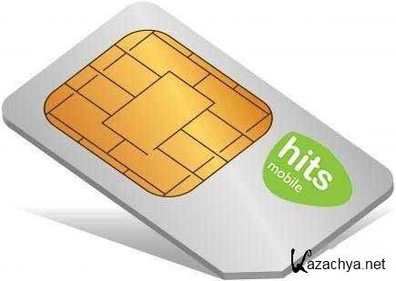 SIM Card Data Recovery (2009)