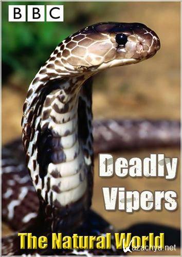  .   / The Natural World. Deadly Vipers (2009) SATRip
