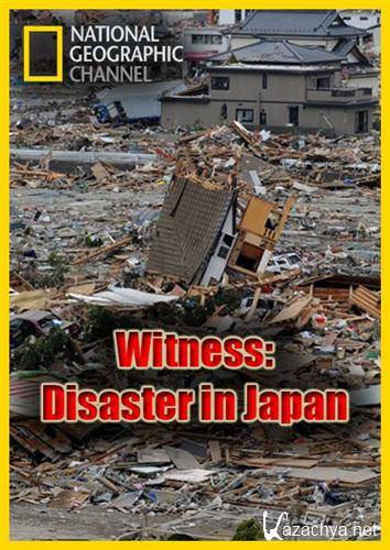    / Witness: Disaster in Japan (2011) SATRip