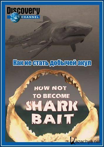      / How Not To Become Shark Bait (2008) SATRip