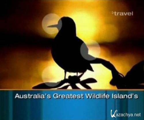 :   / Australia`s Greatest Wildlife Island`s (2011) IPTVRip