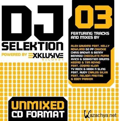 VA - Dj Selektion 03  Unmixed CDJ Format (2011)