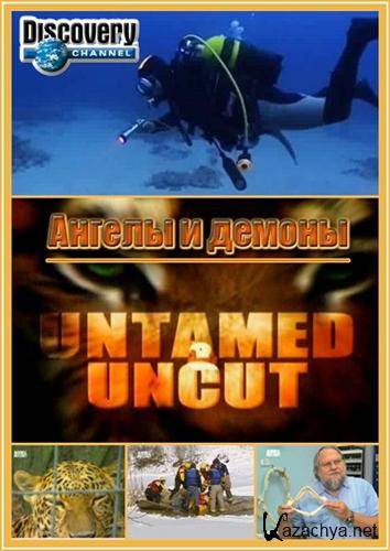   .    / Untamed and Uncut. Angels and daemons (2009) SATRip